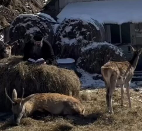 Imagini Inedite de la Mănăstirea Piatra Tăieturi La Mănăstirea Piatra Tăieturi, un loc sacru și liniștit, rugăciunea și natura se împletesc într-o armonie desăvârșită. Recent, au fost surprinse imagini rare care reflectă această legătură profundă