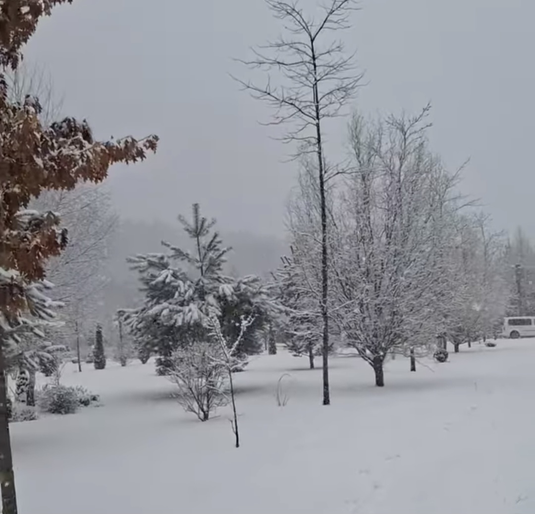 Pe 2 martie 2025, Mănăstirea Sihăstria Putnei din Suceava a fost martora unui peisaj de poveste, cu zăpadă proaspătă acoperind totul în jur, transformând locul într-un adevărat basm al iernii.