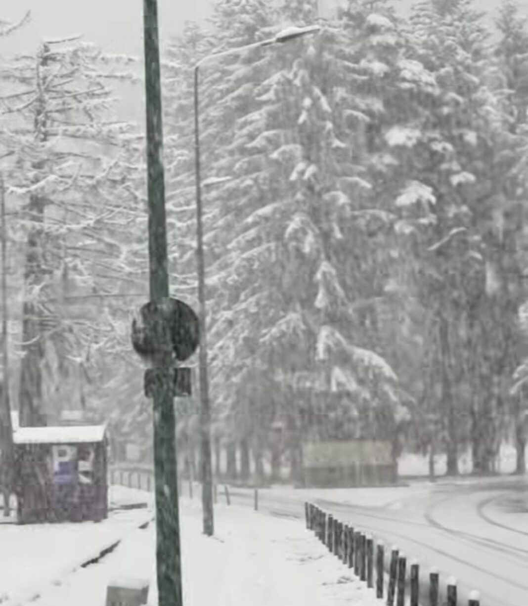 Poiana Brașov s-a transformat într-o adevărată destinație de vis, după ce iarna