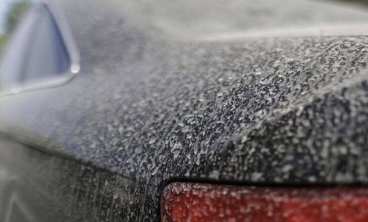 Alertă meteo: Un nou val de praf saharian ajunge în România Un nou val de praf saharian se îndreaptă spre România, iar începând de astăzi după-amiază, va ajunge în sud-estul Europei, adus de circulația sud-vestică a maselor de aer. Începând cu această seară și până la începutul săptămânii viitoare,