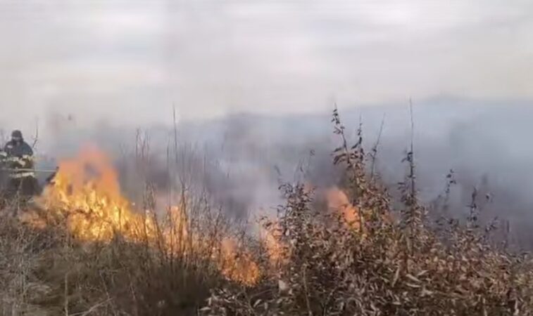 Pompierii continuă lupta cu incendiile de vegetație:Situație alarmantă în toată țara Pompierii din întreaga țară sunt în continuare în luptă cu incendiile de vegetație care au cuprins multiple zone, iar situația rămâne alarmantă. Focul se extinde rapid din cauza vântului puternic și a temperaturilor ridicate,