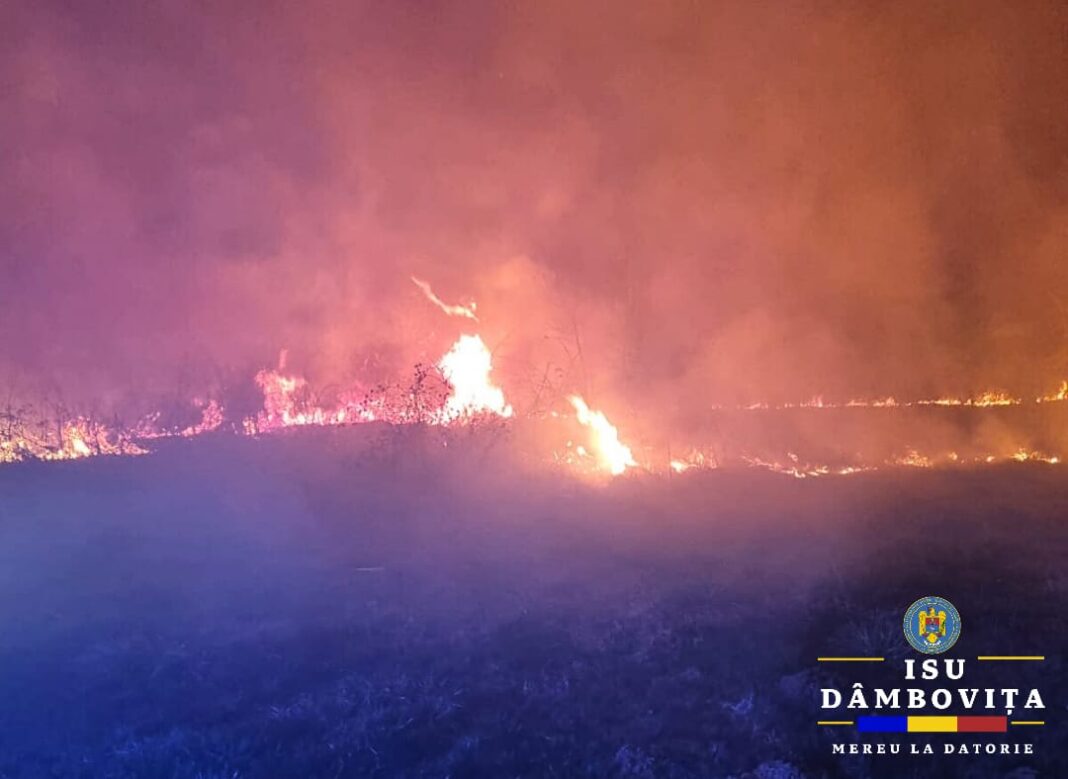Aseară, un incendiu devastator a izbucnit în localitatea Raciu, provocând pagube pe o suprafață de aproximativ 1 hectar de vegetație uscată. Detașamentul de Pompieri Târgoviște