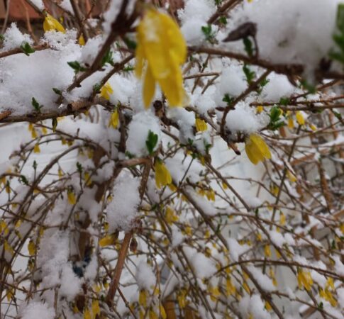 Dimineață cu temperaturi de iarnă în toată țara! Dimineață cu temperaturi de iarnă în toată țara