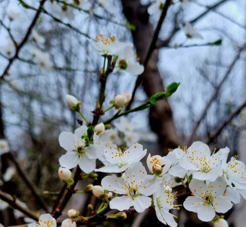 Ultima oră: Meteo pentru următoarele ore, precipitațiile sunt pe drum, la ora transmiterii acestei știri,  temperatura cea mai ridicată se înregistrează în Târgoviște,13 °C,