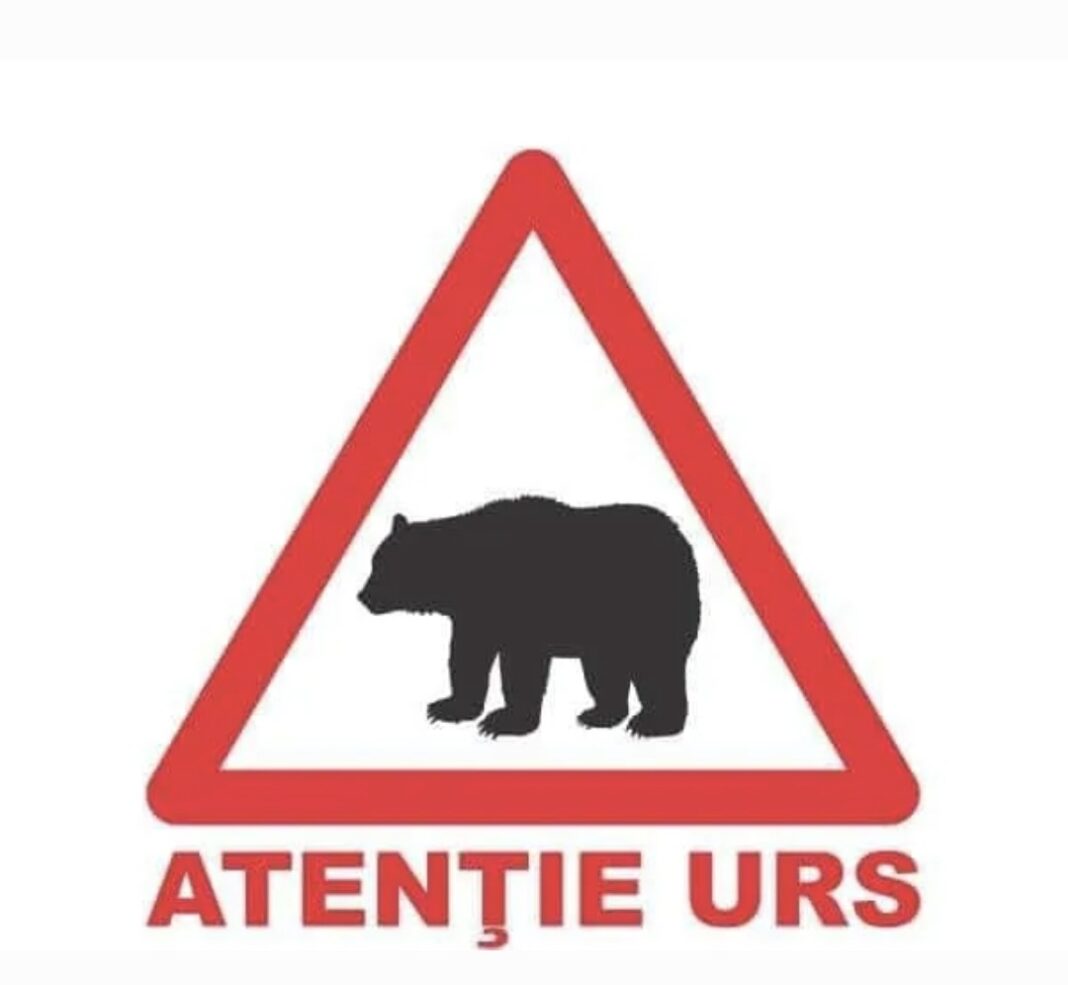 ALERTĂ URS în Răzvad ALERTĂ URS în Răzvad! În această dimineață, în jurul orei 06:40, un urs a fost semnalat în zona Gura Leului – Gura Văii,