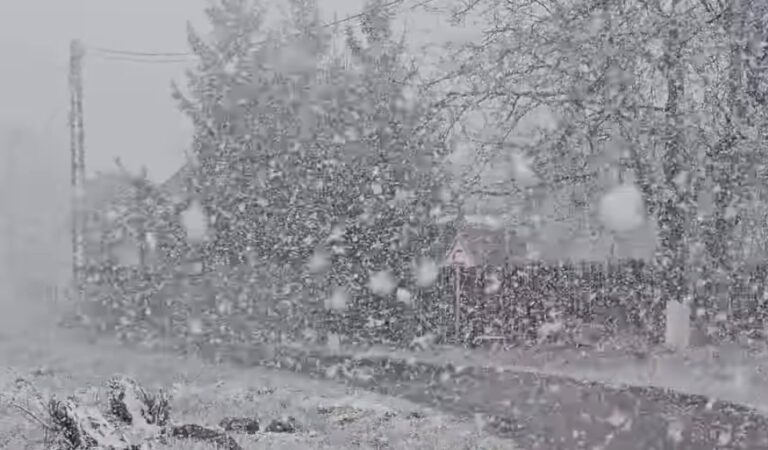 AVERTIZARE METEO: Ploi, ninsoare și vânt puternic în toată țara, joi, 10 aprilie 2025 AVERTIZARE METEO: Ploi, ninsoare și vânt puternic în toată țara, joi, 10 aprilie 2025, un nou front atmosferic va traversa România
