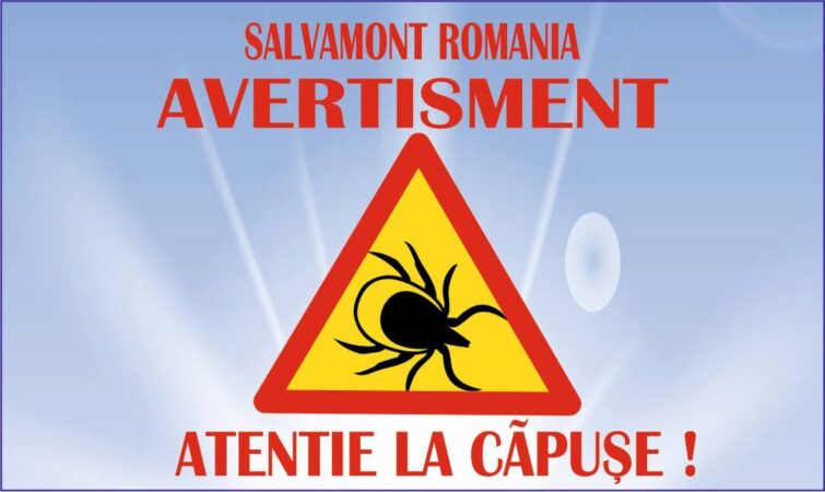 Important: Căpușele au devenit foarte active din cauza temperaturilor anormale din ultimele 48 de ore Important: Căpușele au devenit foarte active din cauza temperaturilor anormale din ultimele 48 de ore Important: Căpușele au devenit foarte active din cauza temperaturilor anormale din ultimele 48 de ore. Cum te protejezi de căpușe: Poartă îmbrăcăminte lungă și de culoare deschisă. Utilizează spray-uri repelente împotriva insectelor. Verifică-ți frecvent corpul după plimbări în zone cu iarbă sau păduri. Ce faci în caz de mușcătură: Îndepărtează căpușa cu o pensetă curată, având grijă să nu o zdrobești. Curăță zona mușcăturii cu apă și săpun. Monitorizează locul mușcăturii pentru eventuale semne de infecție sau erupții cutanate.