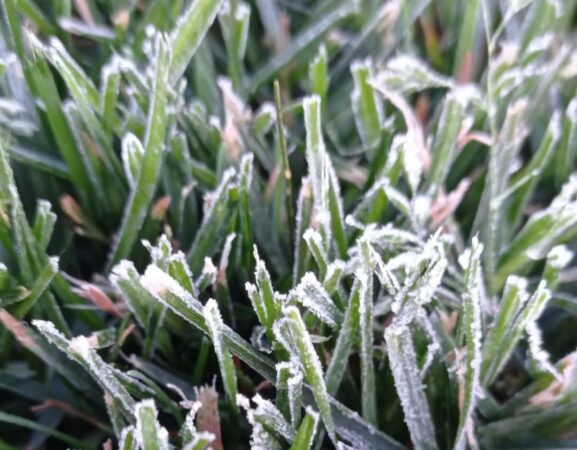 Dimineață de aprilie cu temperaturi negative și brumă în mai multe zone ale țării