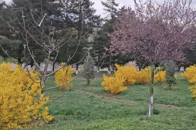 Meteo,15 aprilie 2025, vremea va respecta tiparele obișnuite pentru această perioadă a anului, cu temperaturi maxime