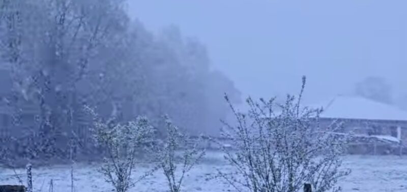 Ninge ca în povești în aprilie! Surpriză de primăvară pentru multe regiuni din țară! În ciuda faptului că suntem în aprilie,