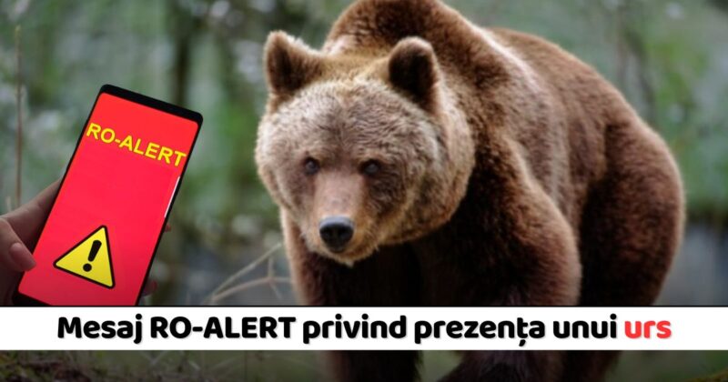 RO-Alert emis în satul Glod din Dâmbovița. Astăzi, 5 aprilie 2025, în jurul orei 11:47, a fost semnalată prezența unui urs în satul Glod, județul Dâmbovița.