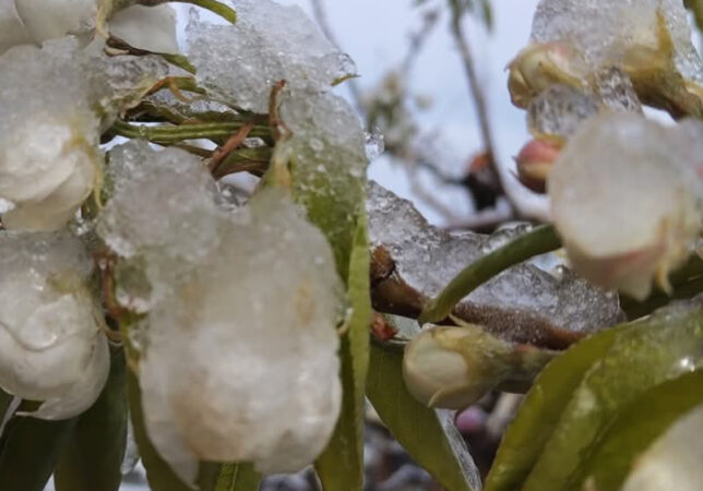 Vreme foarte rece: Temperaturi negative în toată țara, inclusiv la Târgoviște Vreme foarte rece: Temperaturi negative în toată țara, inclusiv la Târgoviște, o dimineață neobișnuit de friguroasă a cuprins întreaga țară,