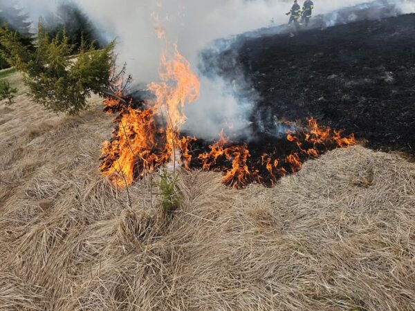 Incendiu de vegetație uscată în localitatea Ciocănești Incendiu de vegetație uscată în localitatea Ciocănești. Duminică după-amiază, în jurul orei 15:25,