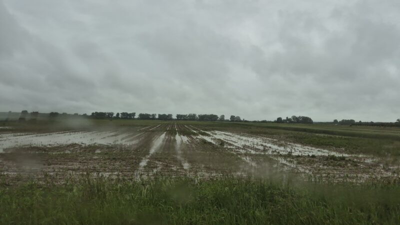 Atenționare meteo: Ploi abundente și risc de inundații în mai multe județe, 27 mai, ora 10 – 29 mai, ora 03