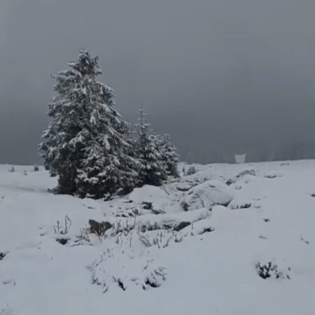 Basm de iarnă în plină primăvară! Transalpina, acoperită de zăpadă la Rânca, pe 17 mai