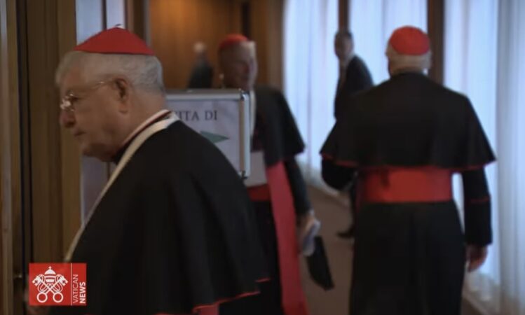 Conclavul pentru alegerea noului Papă începe miercuri, 7 mai: Toți cei 133 de cardinali electori sunt prezenți la Roma Conclavul pentru alegerea noului Papă începe miercuri, 7 mai: Toți cei 133 de cardinali electori sunt prezenți la Roma