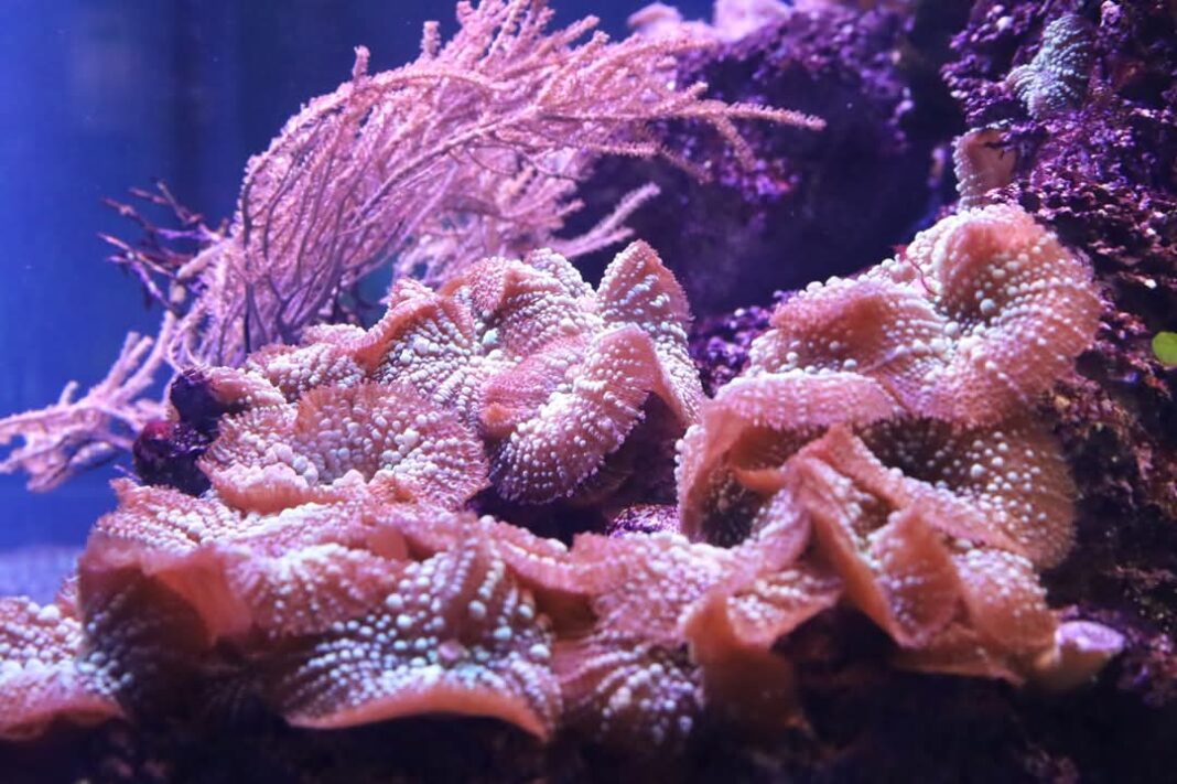 Explorare și educație la Zoo Târgoviște: Un colț de natură pentru toate vârstele