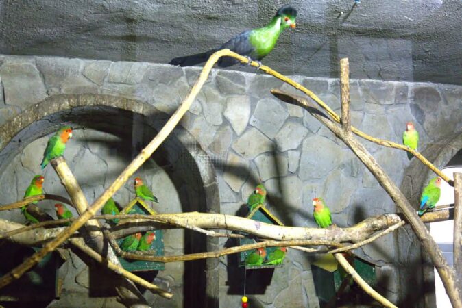 Explorare și educație la Zoo Târgoviște: Un colț de natură pentru toate vârstele