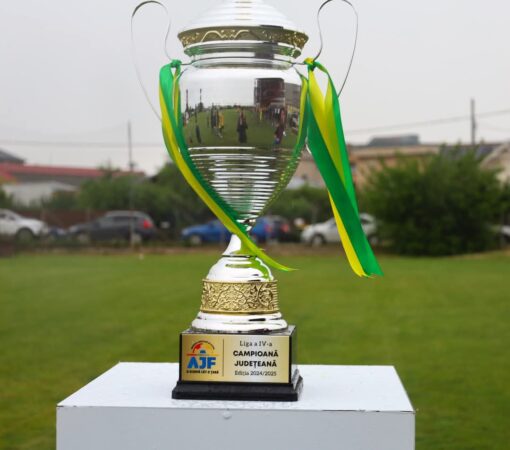 Liga 4 Dâmbovița: Etapă dominată de oaspeți și Voința Crevedia, campioană matematică! Liga 4 Dâmbovița: Etapă dominată de oaspeți și Voința Crevedia, campioană matematică!