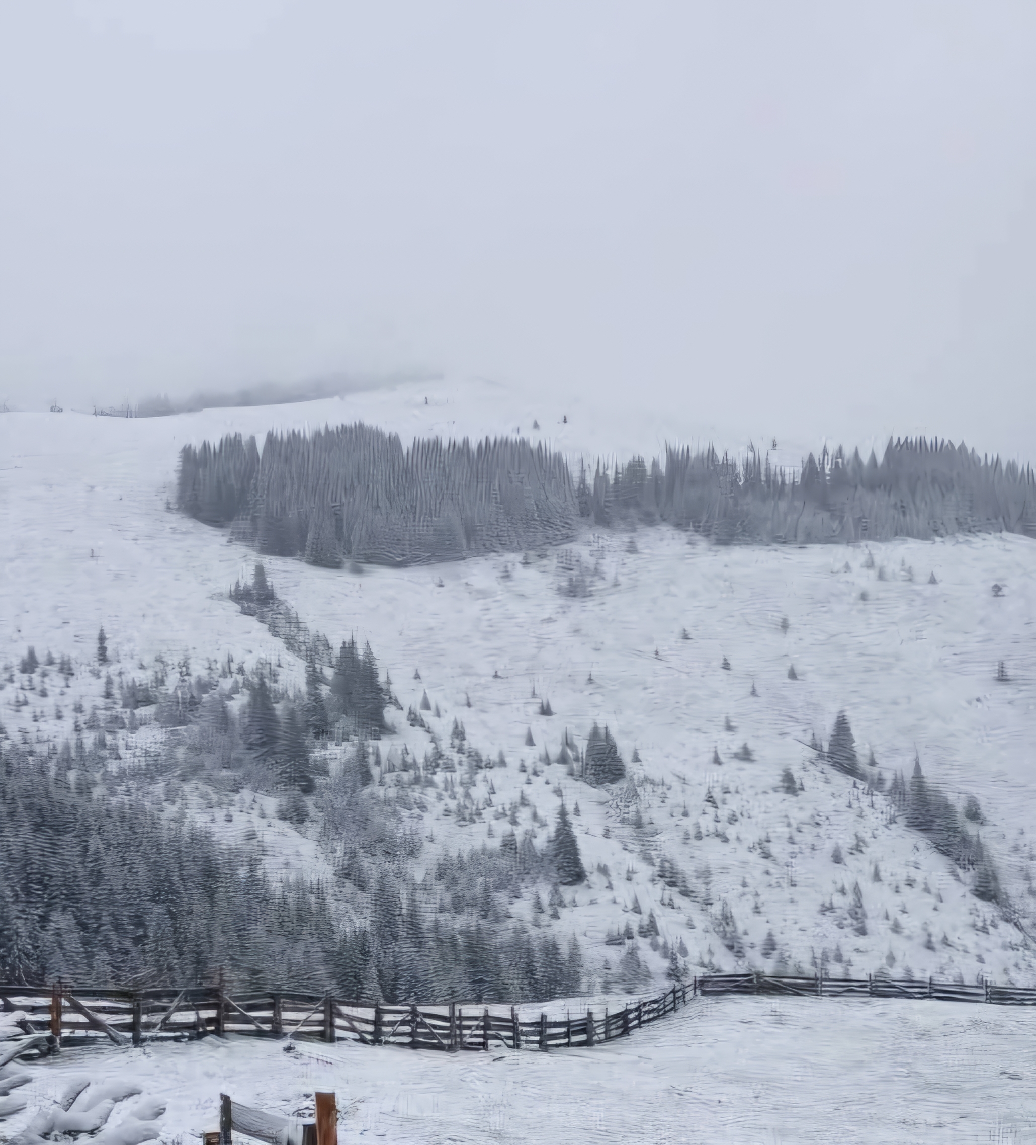 Ninge în Suceava, Poiana Stampei – 9 mai 2025: Avertizare de vreme rece și ninsoare