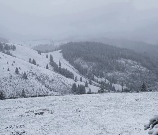 Ninge în Suceava, Poiana Stampei – 9 mai 2025: Avertizare de vreme rece și ninsoare