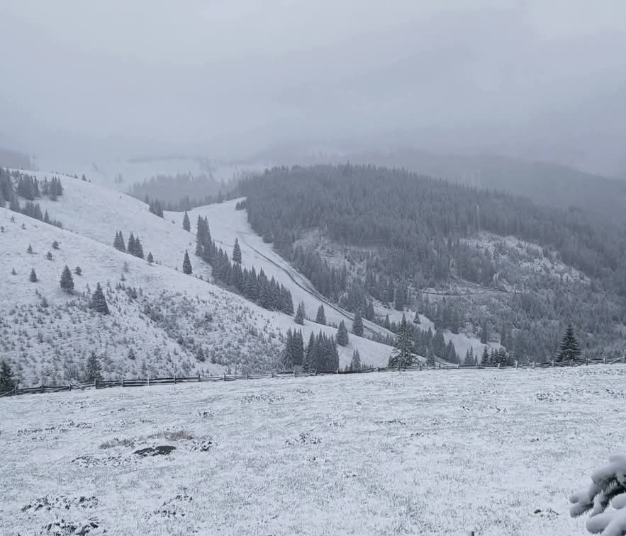 Ninge în Suceava, Poiana Stampei – 9 mai 2025: Avertizare de vreme rece și ninsoare