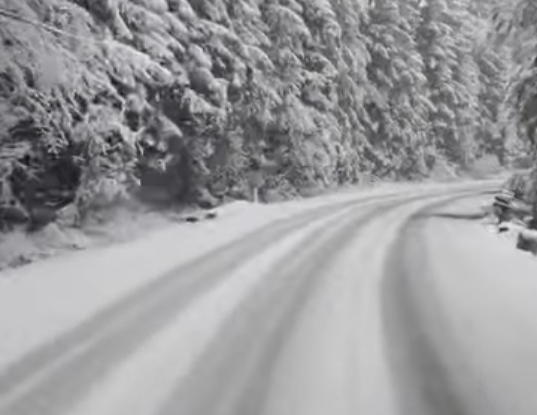 Ninsoare ca-n povești pe 11 mai 2025 la Suceava: Palma acoperită de zăpadă!