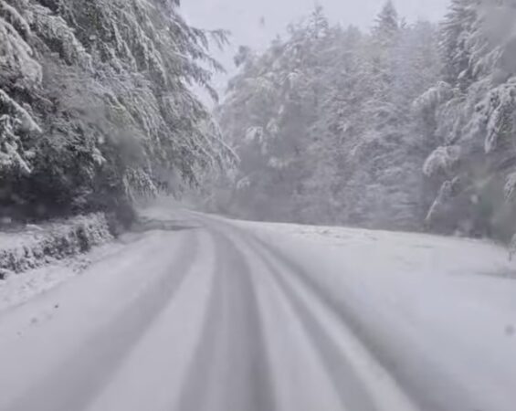 Ninsoare ca-n povești pe 11 mai 2025 la Suceava: Palma acoperită de zăpadă!