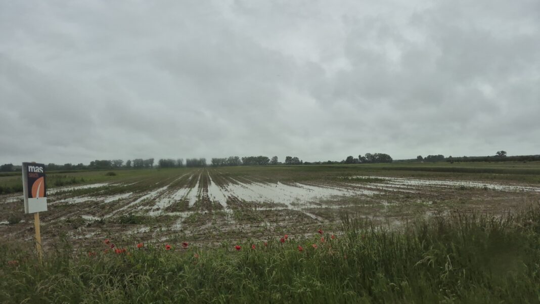 Ploi abundente și furtuni până pe 28 mai