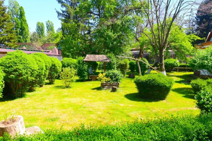 Primăvara aduce magie la Grădina Zoologică din Târgoviște: Nu ratați întâlnirea cu hipopotamul Fluturaș!