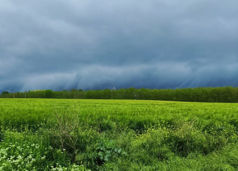 Prognoza meteo pentru 11 mai: Ploi în toată țara și  temperaturi sub normalul perioadei