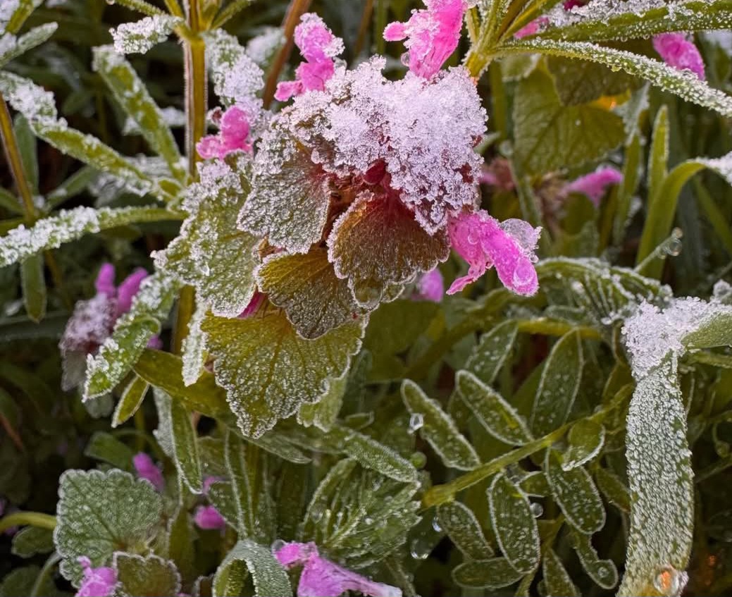 Atenție, dâmbovițeni! De mâine revin ploile și temperaturile foarte scăzute până la 2 grade Celsius 