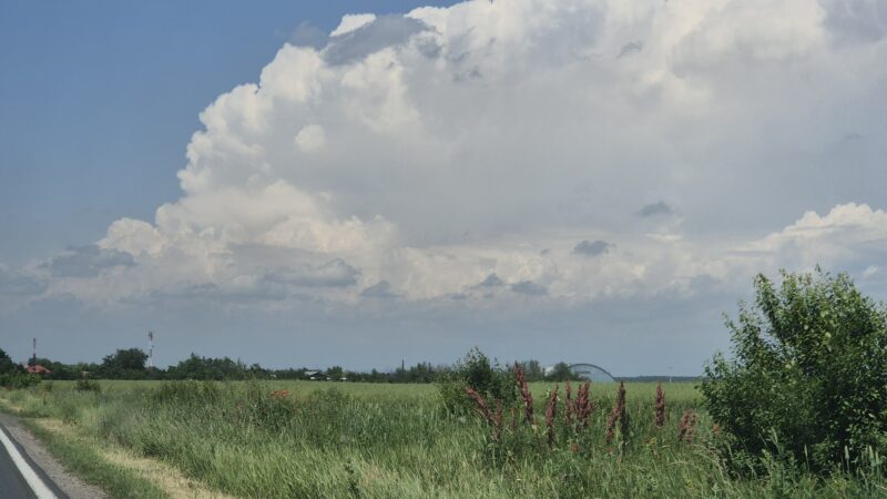 ATENȚIONARE METEOROLOGICĂ: COD GALBEN de caniculă în județul Dâmbovița pe 5 iunie ATENȚIONARE METEOROLOGICĂ: COD GALBEN de caniculă în județul Dâmbovița pe 5 iunie