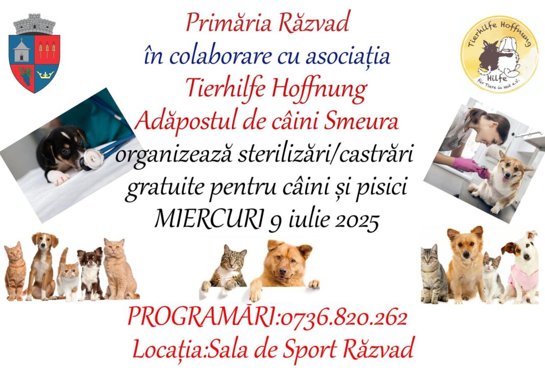 Campanie de sterilizări gratuite pentru câini și pisici, organizată de Primăria Răzvad în colaborare cu Adăpostul Smeura