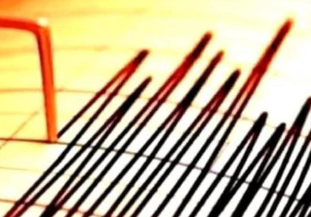 În această dimineață, cutremur cu magnitudinea 4.0 în zona seismică Vrancea, județul Buzău
