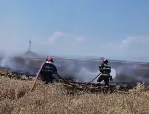 Pericolul incendiilor de vegetație crește pe timp de caniculă: ISU Dâmbovița transmite recomandări esențiale