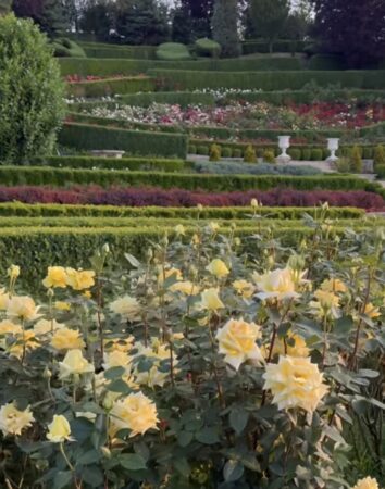  Un vis în floare la I Giardini di Zoe, nu ratați o vizită! 