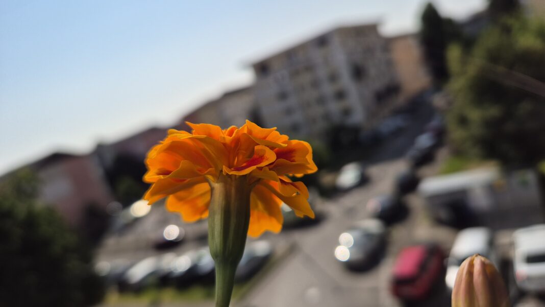  Vreme frumoasă, dar sunt posibile ploi locale 