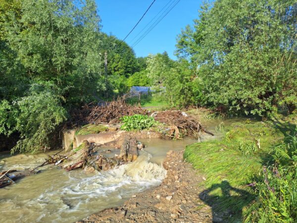 Viitură puternică în comuna Malu cu Flori. Cinci gospodării izolate în zona Bălășoi. VIDEO Viitură puternică în comuna Malu cu Flori. Cinci gospodării izolate în zona Bălășoi. VIDEO