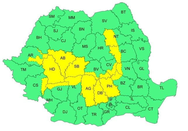 COD GALBEN DE FURTUNI în județul Dâmbovița
