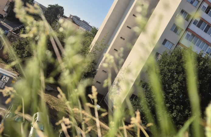 COD PORTOCALIU DE CANICULĂ ÎN DÂMBOVIȚA – 37-39°C, NOAPTE TROPICALĂ ȘI DISCONFORT TERMIC ACCENTUAT COD PORTOCALIU DE CANICULĂ ÎN DÂMBOVIȚA – 37-39°C, NOAPTE TROPICALĂ ȘI DISCONFORT TERMIC ACCENTUAT