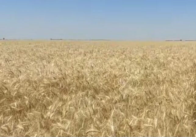 Caniculă și furtuni: Vreme extremă în România în următoarele zile Caniculă și furtuni: Vreme extremă în România în următoarele zile