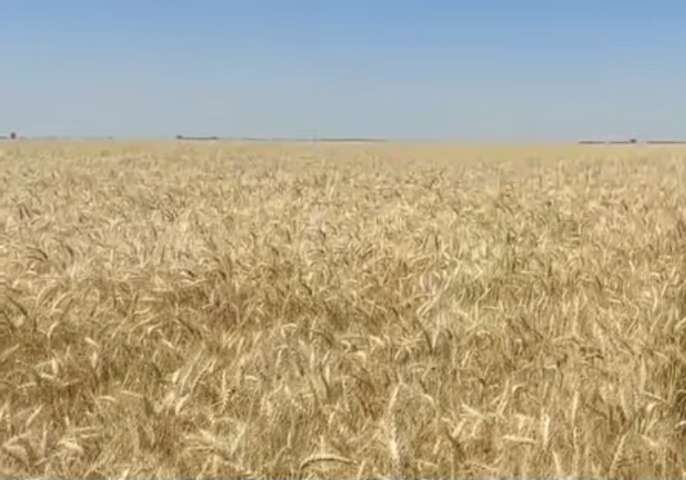 Caniculă și furtuni: Vreme extremă în România în următoarele zile
