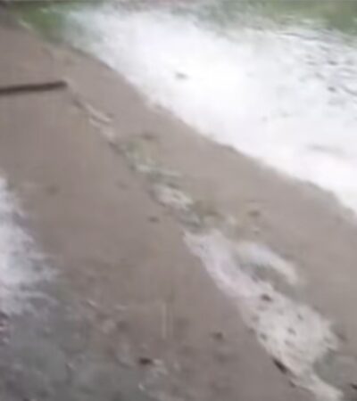 De la caniculă la haos: Furtună violentă cu grindină și ploi torențiale în județul Vâlcea!
