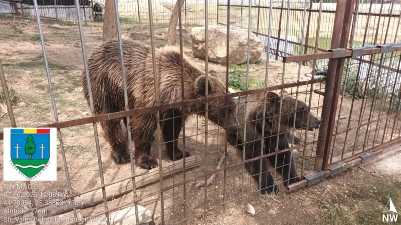 GRĂDINĂ ZOOLOGICĂ ILEGALĂ  ÎN DÂMBOVIȚA: AMENDĂ DE 120.000 DE LEI APLICATĂ DE GARDA NAȚIONALĂ DE MEDIU