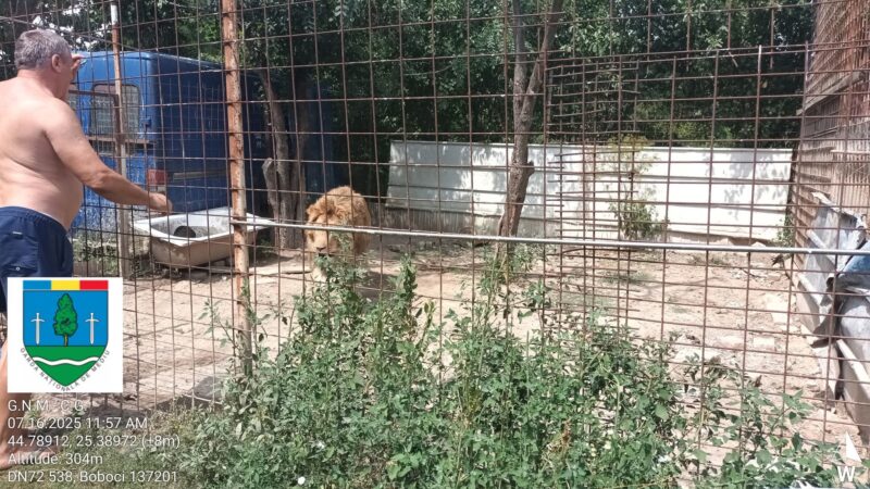 GRĂDINĂ ZOOLOGICĂ ILEGALĂ  ÎN DÂMBOVIȚA: AMENDĂ DE 120.000 DE LEI APLICATĂ DE GARDA NAȚIONALĂ DE MEDIU