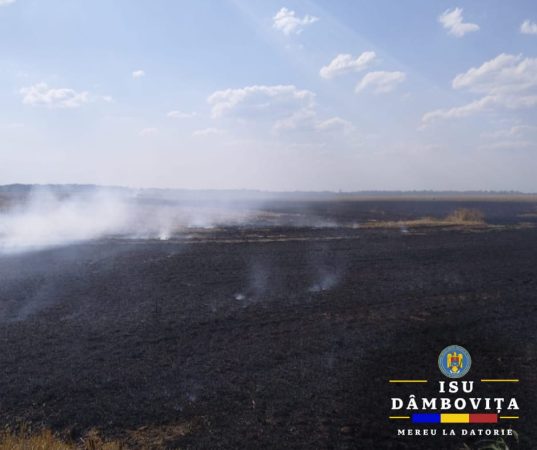 INCENDIU DE VEGETAȚIE LA SĂLCIOARA, INTERVENȚIE A POMPIERILOR DIN TITU