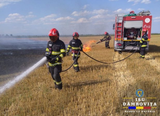 INCENDIU DE VEGETAȚIE LA SĂLCIOARA, INTERVENȚIE A POMPIERILOR DIN TITU INCENDIU DE VEGETAȚIE LA SĂLCIOARA, INTERVENȚIE A POMPIERILOR DIN TITU
