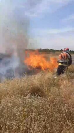 Incendiu de vegetație uscată în localitatea Lucieni: pompierii au intervenit de urgență