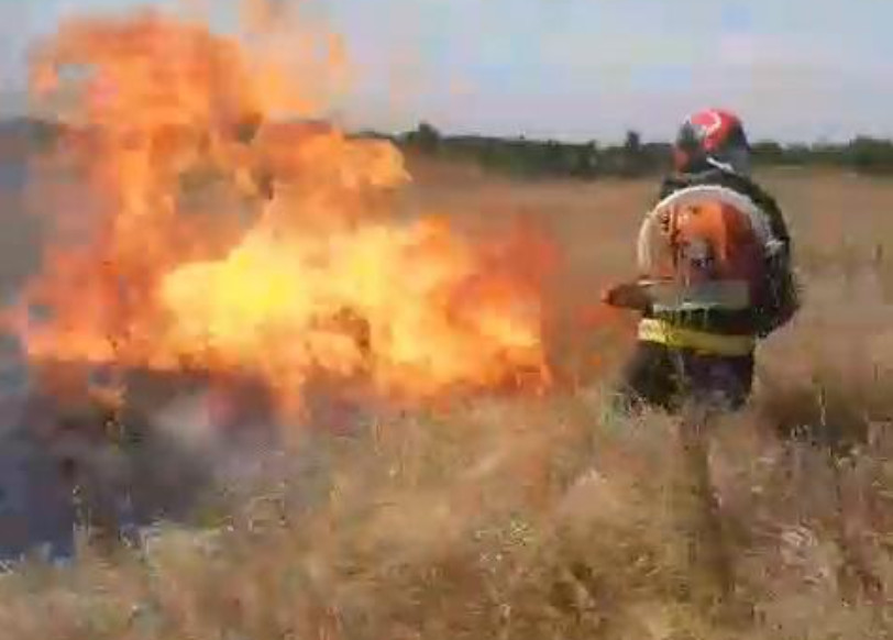 Incendiu de vegetație uscată în localitatea Lucieni: pompierii au intervenit de urgență
